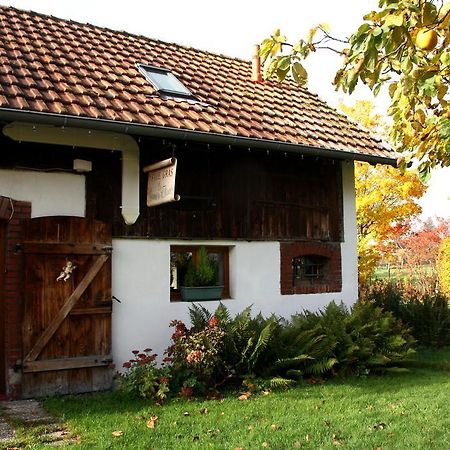 La Grange De Jeanne Villa Moosch Екстериор снимка